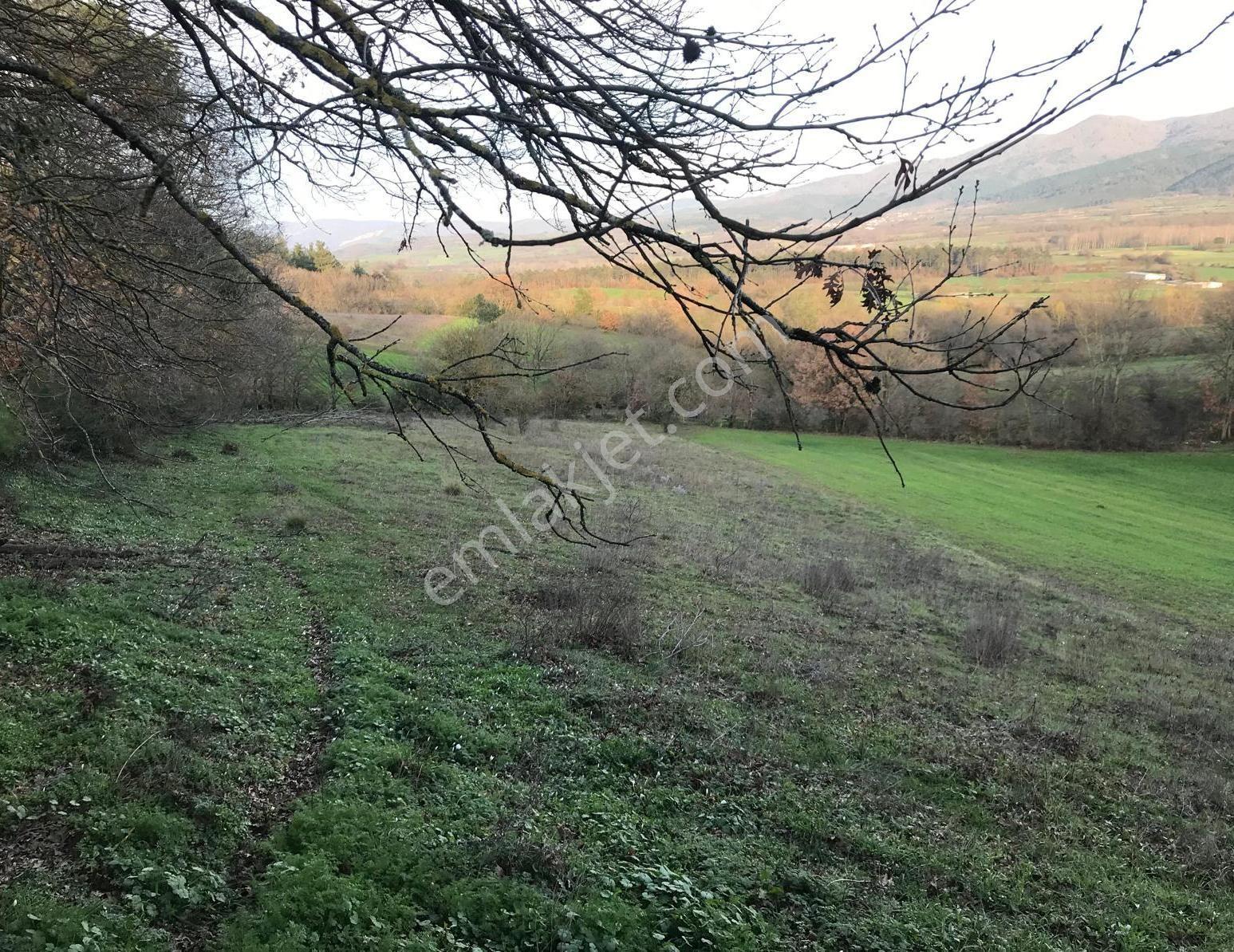 Yenice Davutköyde Kazdağları Doğasında Tarım Ve Yatırımlık Tarla — fotoğraf 5