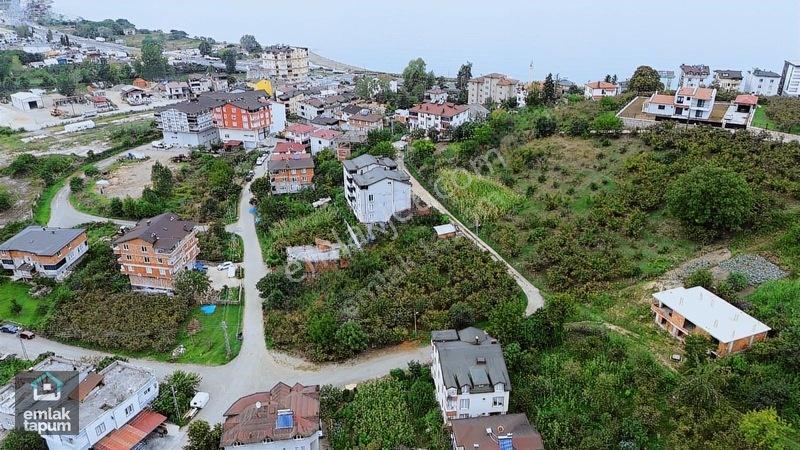 Emlaktapum Fatsa- Bolaman/yenipazar 305m2 İmarlı Arsa — fotoğraf 3