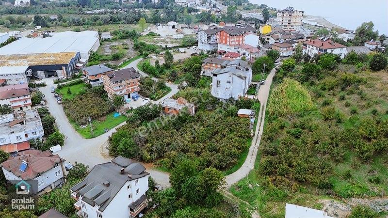 Emlaktapum Fatsa- Bolaman/yenipazar 305m2 İmarlı Arsa — fotoğraf 4