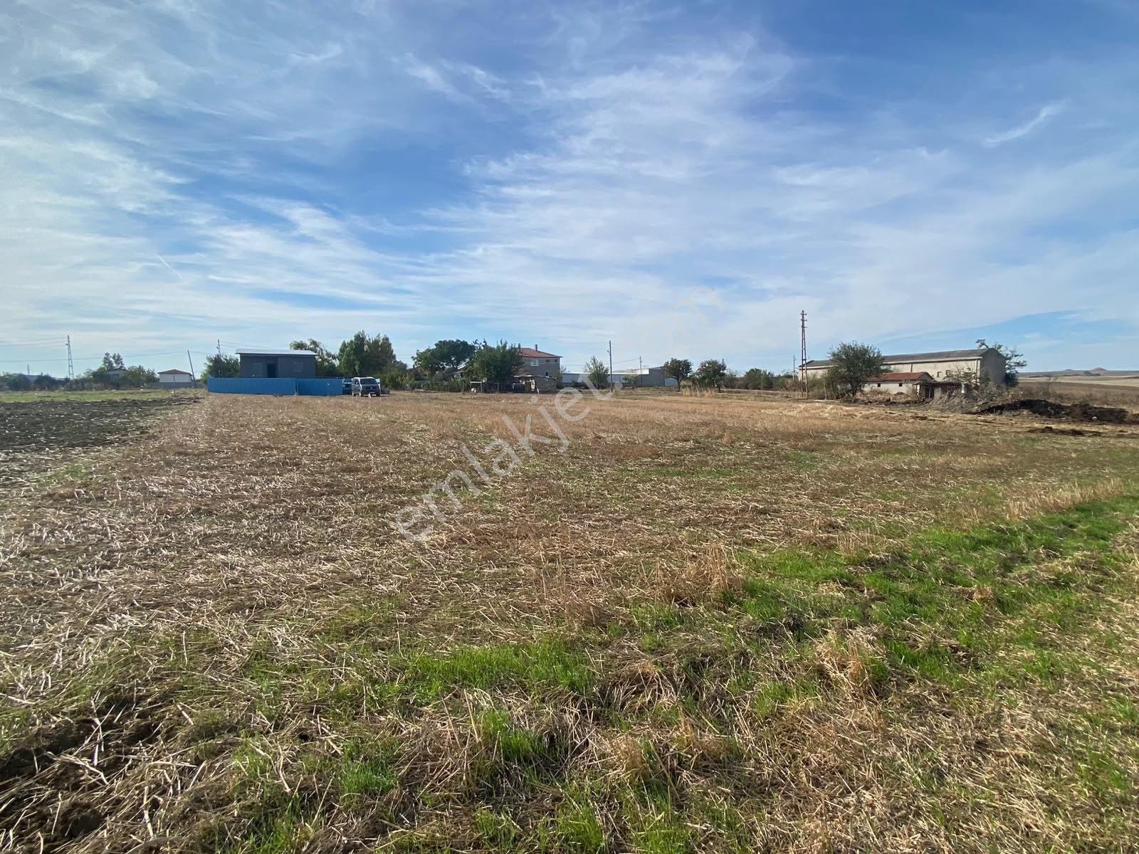 Tekirdağ Çorlu Yenice Mahallesi Satılık 1.933 M2 İmarlı Arsa