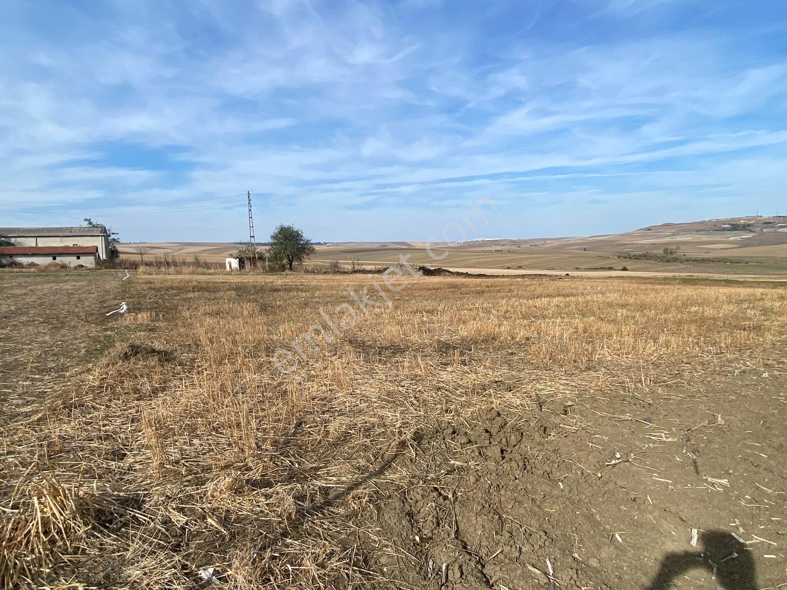 Tekirdağ Çorlu Yenice Mahallesi Satılık 1.933 M2 İmarlı Arsa — fotoğraf 2