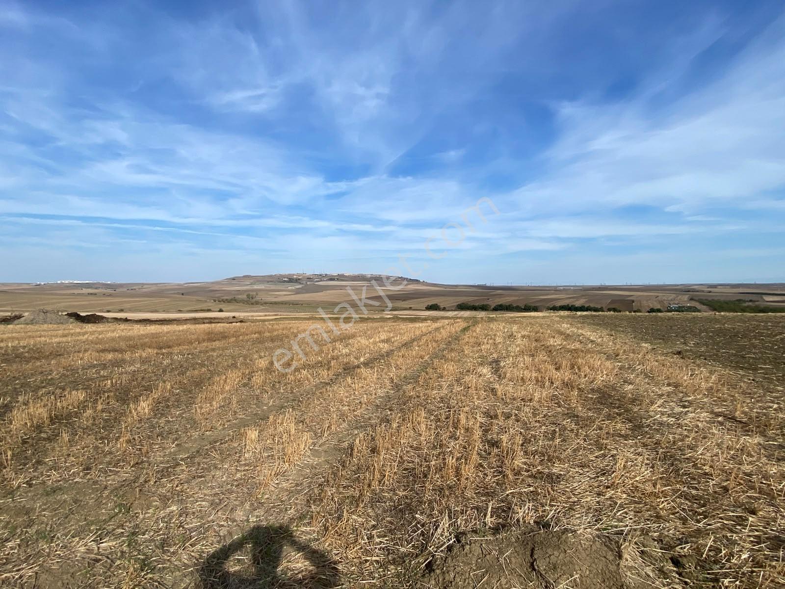 Tekirdağ Çorlu Yenice Mahallesi Satılık 1.933 M2 İmarlı Arsa — fotoğraf 3