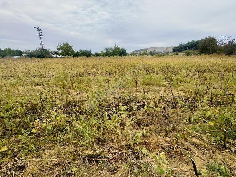 Tema Emlaktan Tekirdağ Naip Mah Yatırım Fırsatı Satılık Tarla — fotoğraf 6