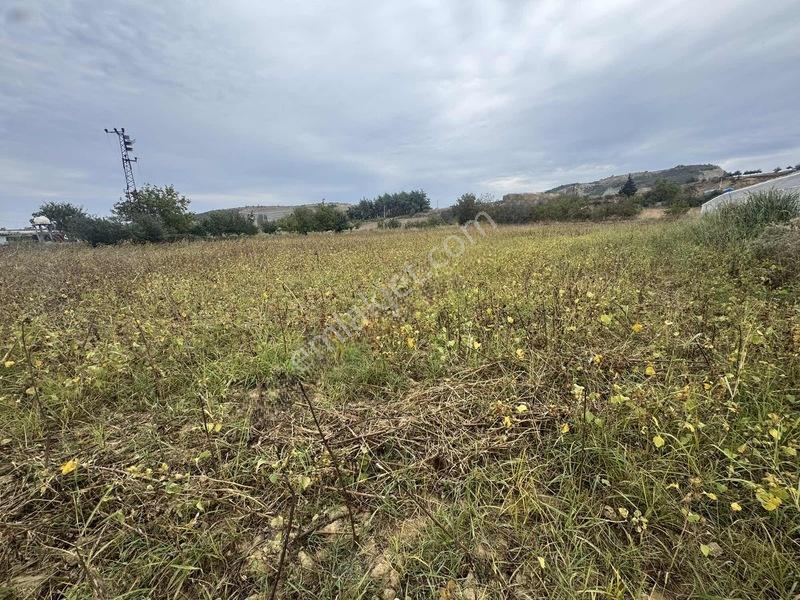 Tema Emlaktan Tekirdağ Naip Mah Yatırım Fırsatı Satılık Tarla — fotoğraf 7