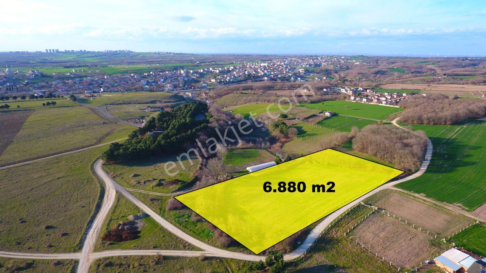 Ege Gayrimenkul'Den Büyükçavuşlu'Da 6880 M2 Tarla