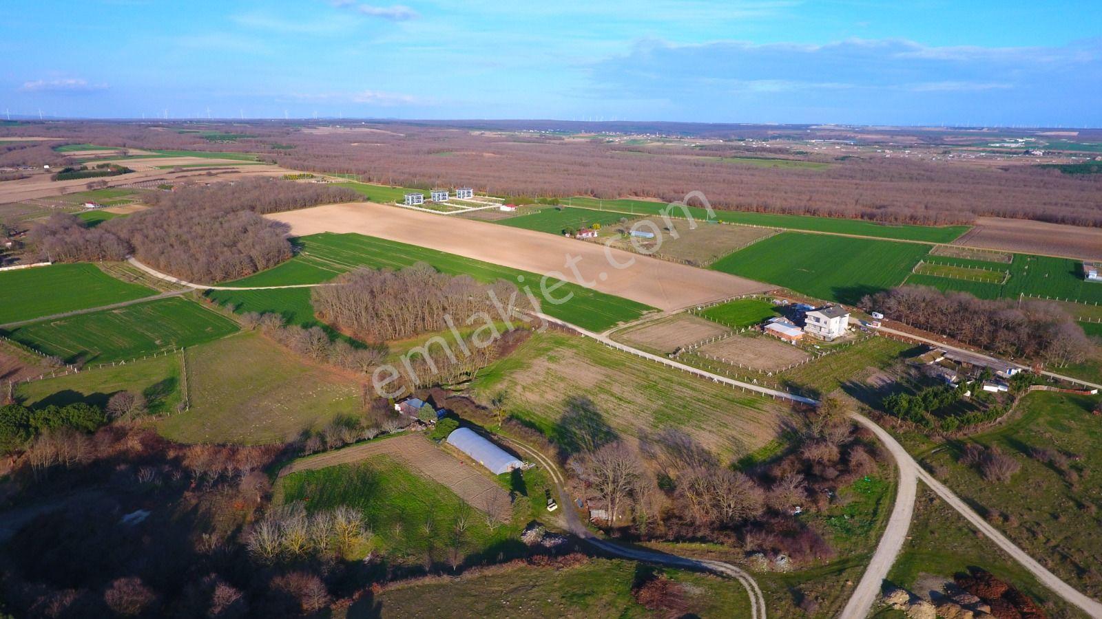 Ege Gayrimenkul'den Büyükçavuşlu'da 6880 M2 Tarla — fotoğraf 5