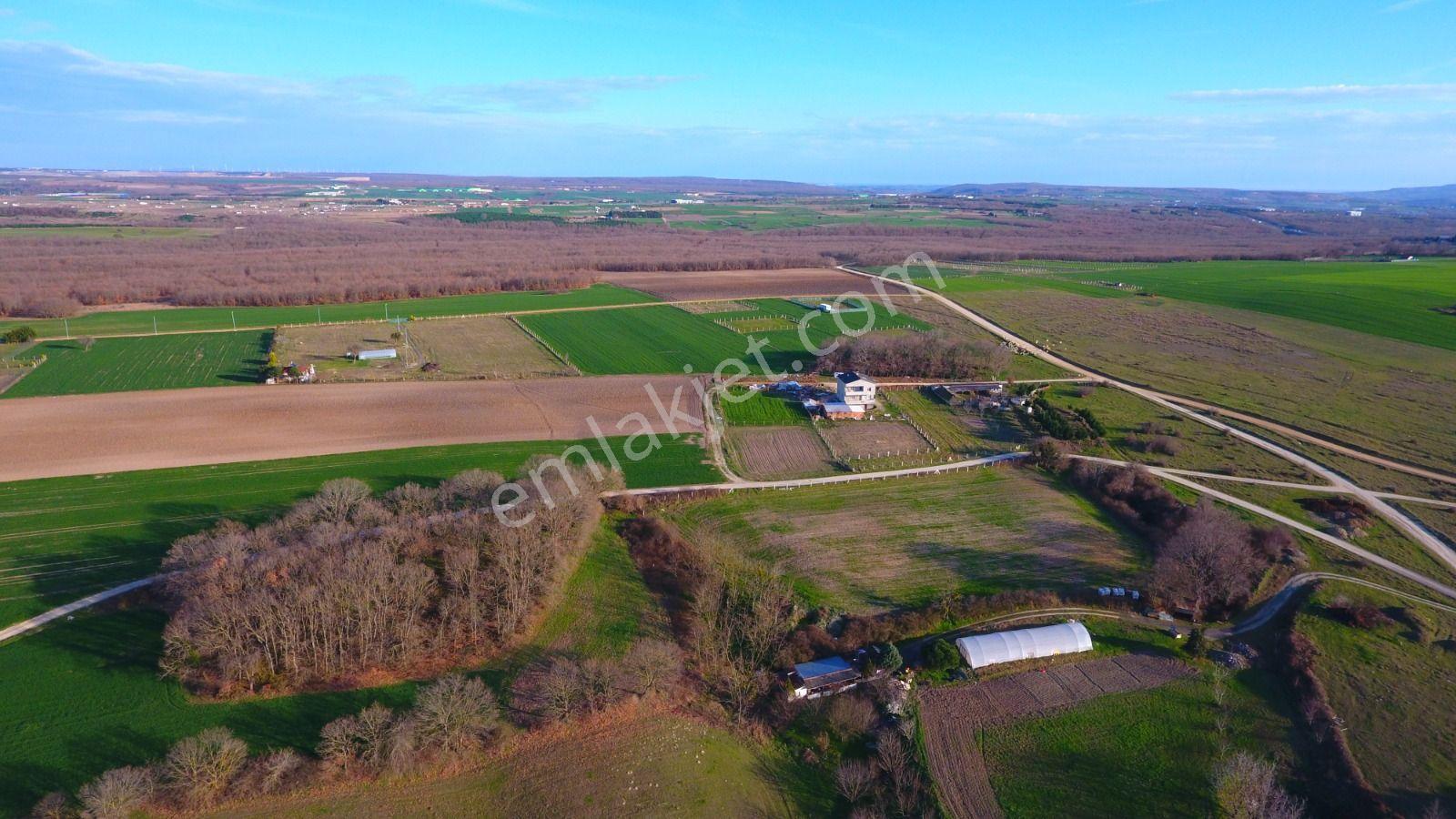 Ege Gayrimenkul'den Büyükçavuşlu'da 6880 M2 Tarla — fotoğraf 8