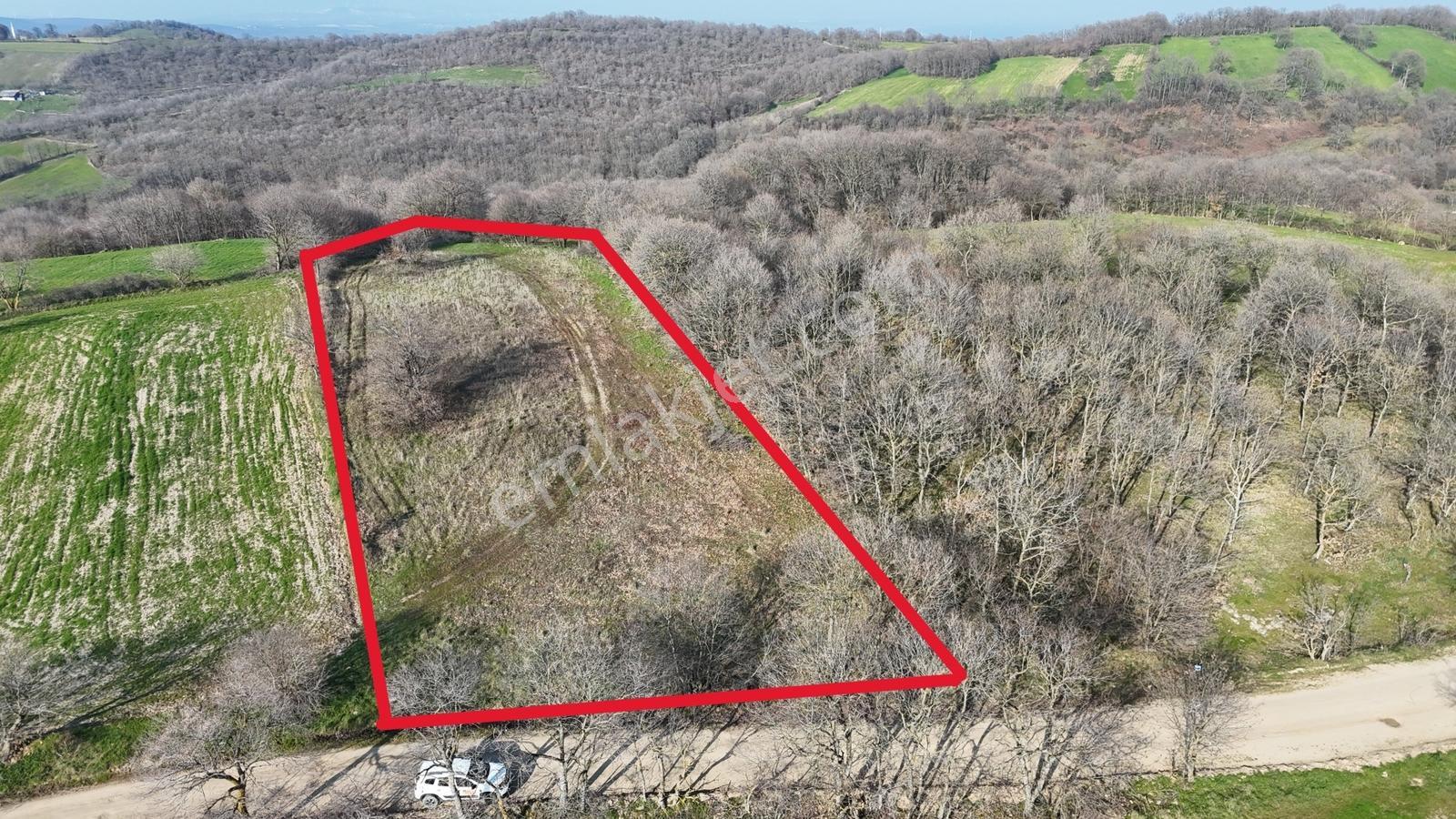 3.450 M² Satılık Tarla Hobi Bahçesi & Yatırımlık Gönene 10 Km — fotoğraf 3