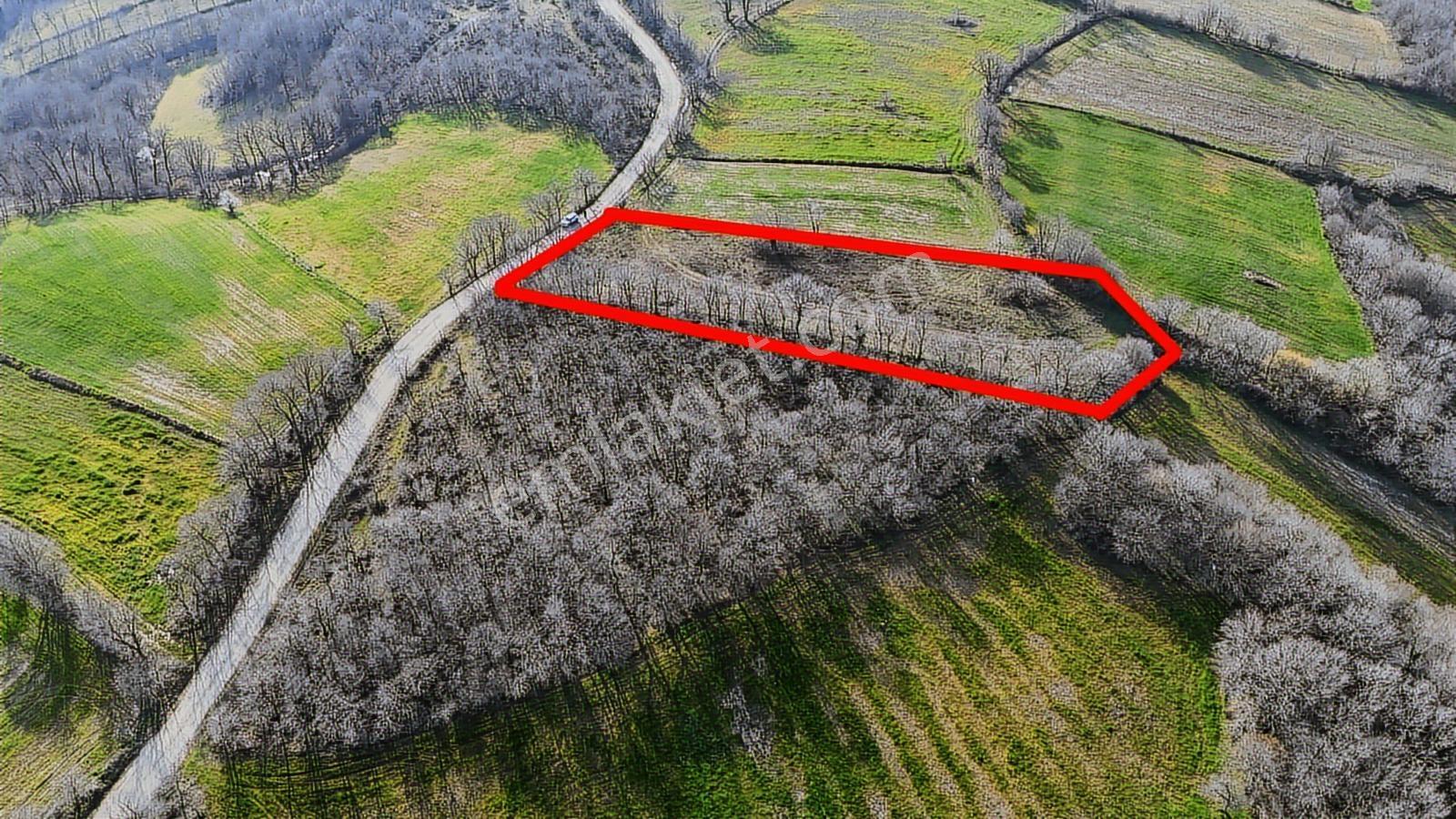 3.450 M² Satılık Tarla Hobi Bahçesi & Yatırımlık Gönene 10 Km — fotoğraf 5