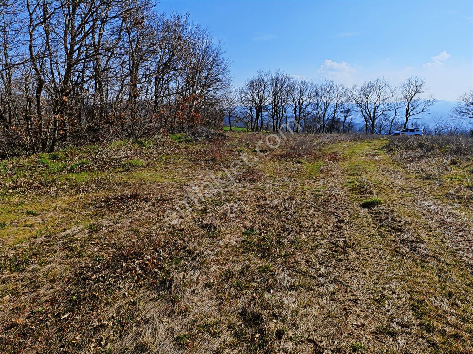 3.450 M² Satılık Tarla Hobi Bahçesi & Yatırımlık Gönene 10 Km — fotoğraf 6