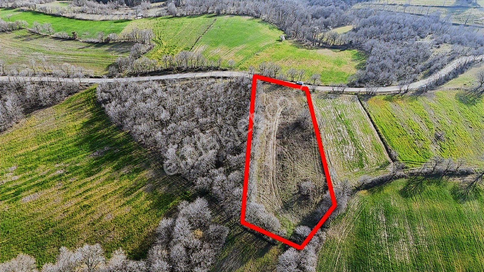 3.450 M² Satılık Tarla Hobi Bahçesi & Yatırımlık Gönene 10 Km — fotoğraf 7