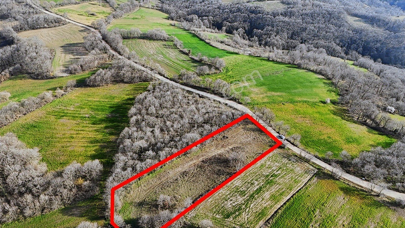 3.450 M² Satılık Tarla Hobi Bahçesi & Yatırımlık Gönene 10 Km — fotoğraf 9