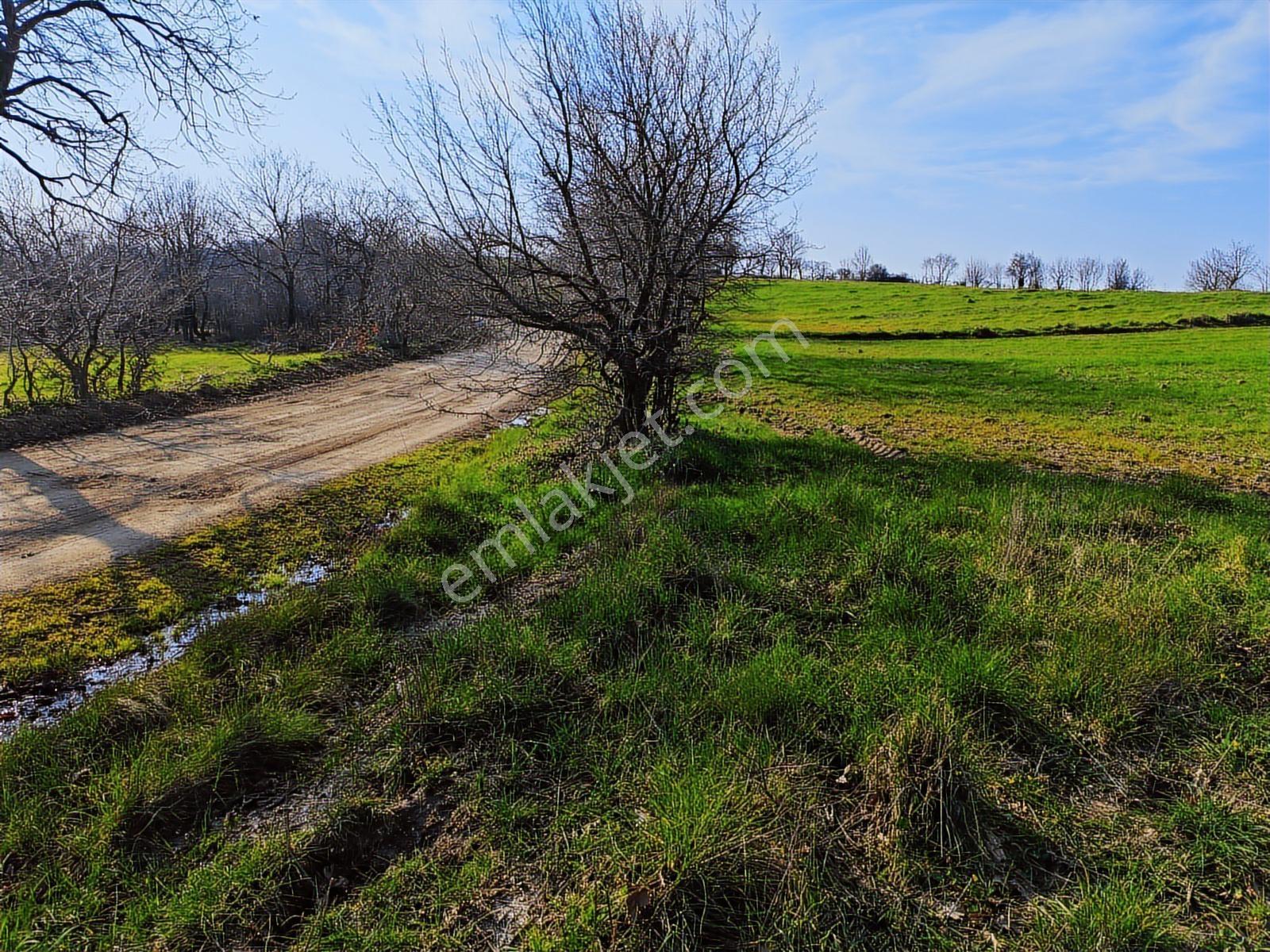 3.450 M² Satılık Tarla Hobi Bahçesi & Yatırımlık Gönene 10 Km — fotoğraf 10
