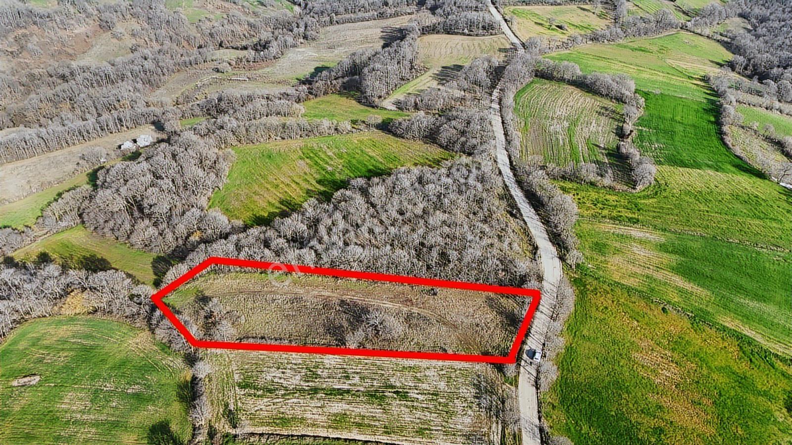3.450 M² Satılık Tarla Hobi Bahçesi & Yatırımlık Gönene 10 Km — fotoğraf 11