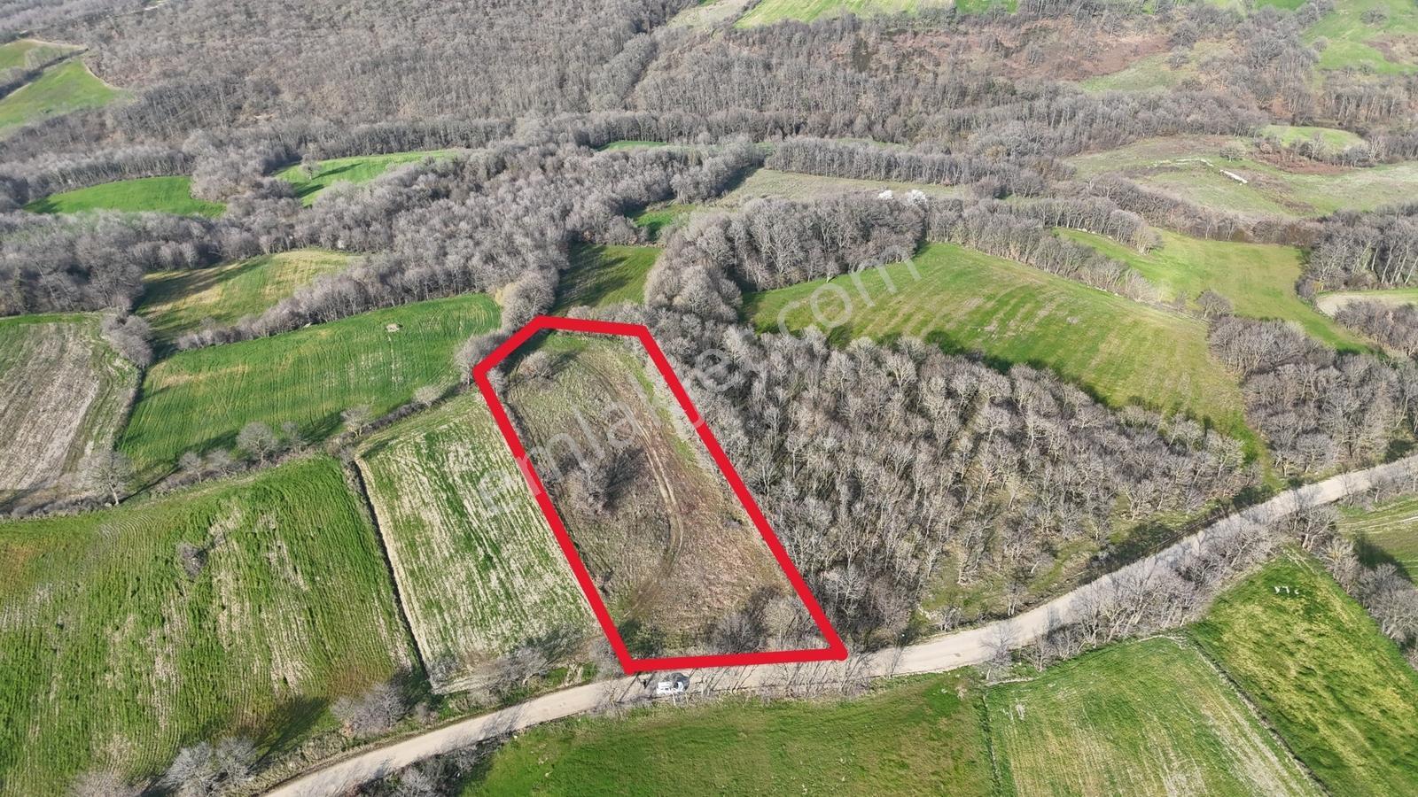 3.450 M² Satılık Tarla Hobi Bahçesi & Yatırımlık Gönene 10 Km — fotoğraf 13