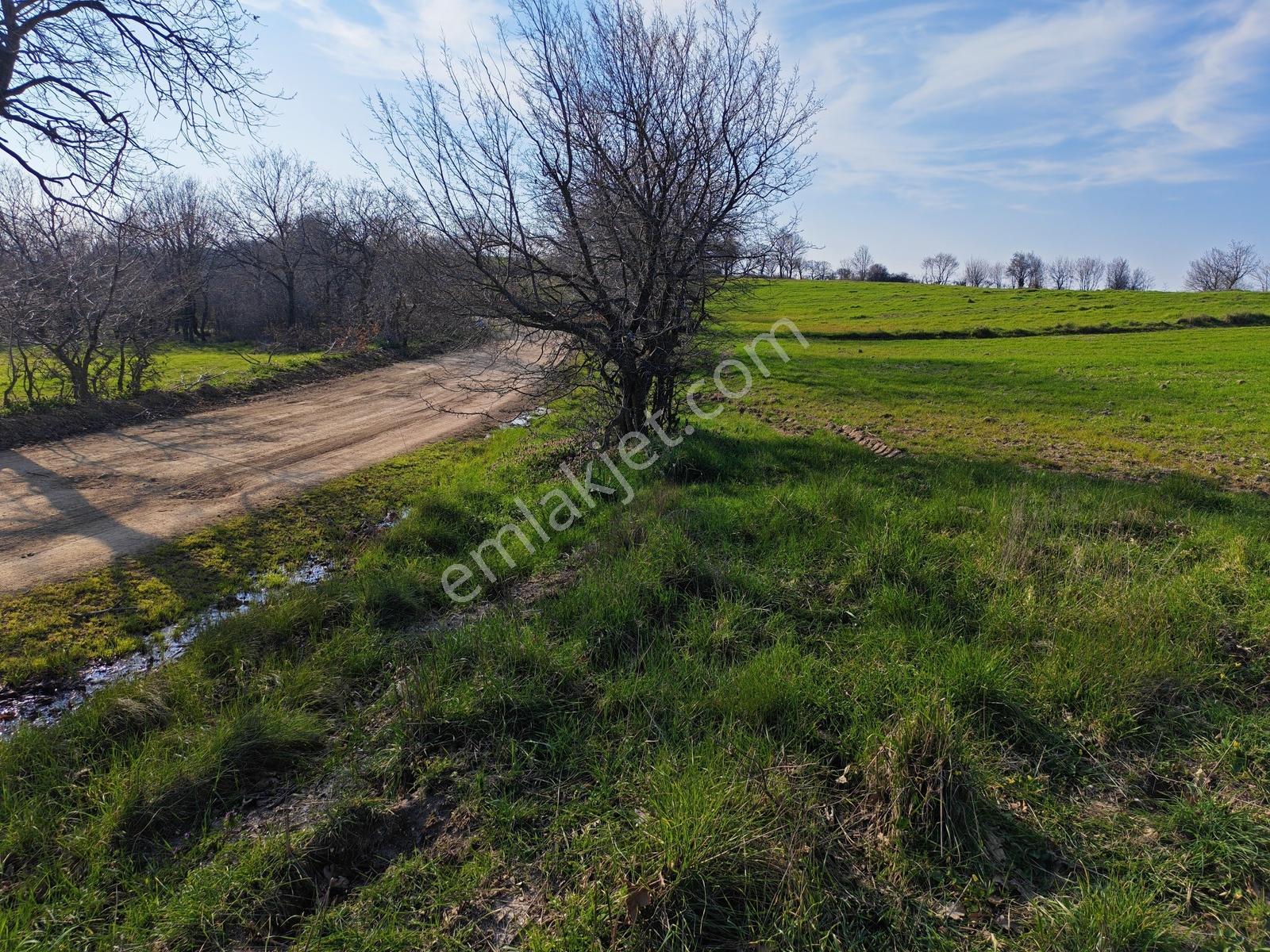3.450 M² Satılık Tarla Hobi Bahçesi & Yatırımlık Gönene 10 Km — fotoğraf 14
