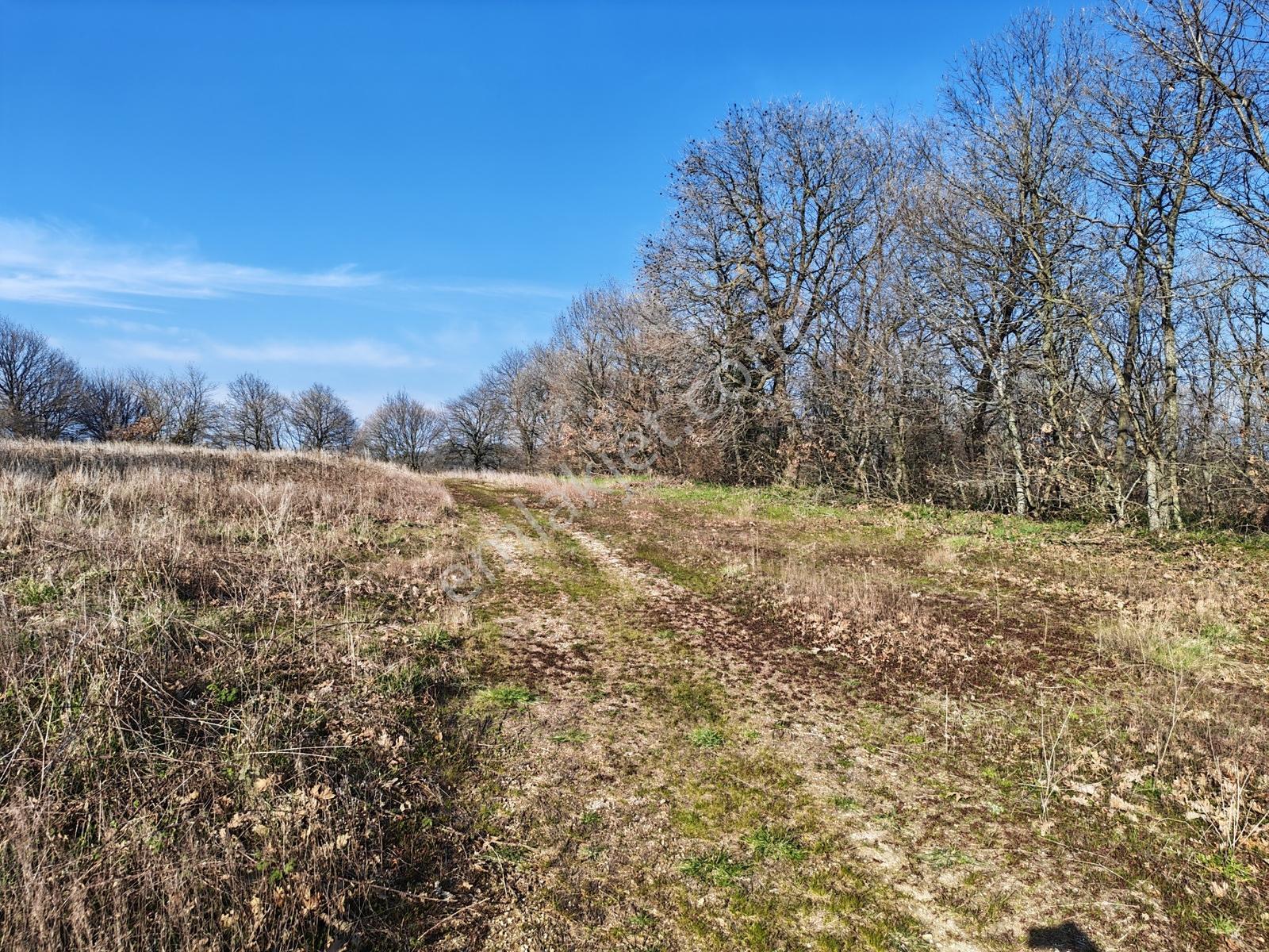 3.450 M² Satılık Tarla Hobi Bahçesi & Yatırımlık Gönene 10 Km — fotoğraf 16