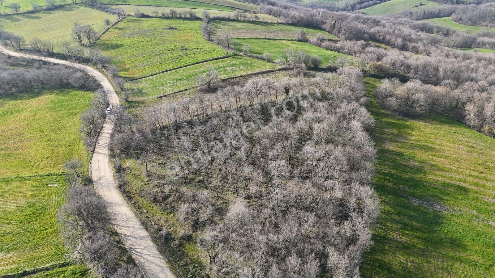 3.450 M² Satılık Tarla Hobi Bahçesi & Yatırımlık Gönene 10 Km — fotoğraf 17