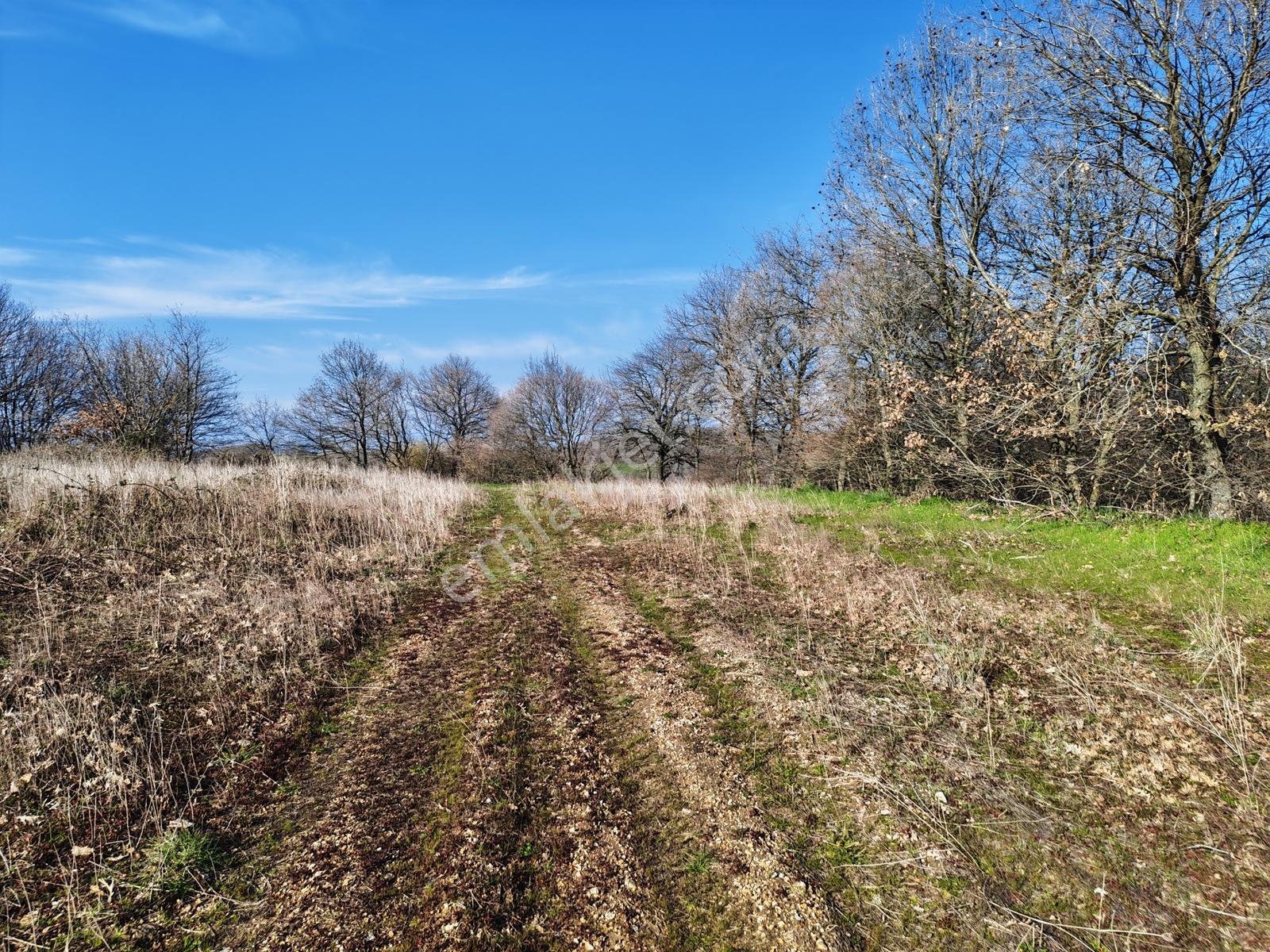 3.450 M² Satılık Tarla Hobi Bahçesi & Yatırımlık Gönene 10 Km — fotoğraf 18