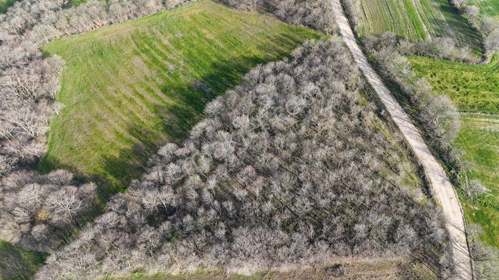3.450 M² Satılık Tarla Hobi Bahçesi & Yatırımlık Gönene 10 Km — fotoğraf 19