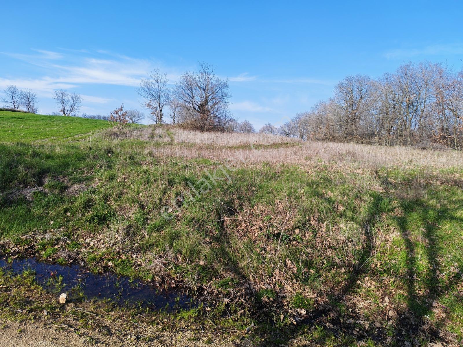 3.450 M² Satılık Tarla Hobi Bahçesi & Yatırımlık Gönene 10 Km — fotoğraf 25