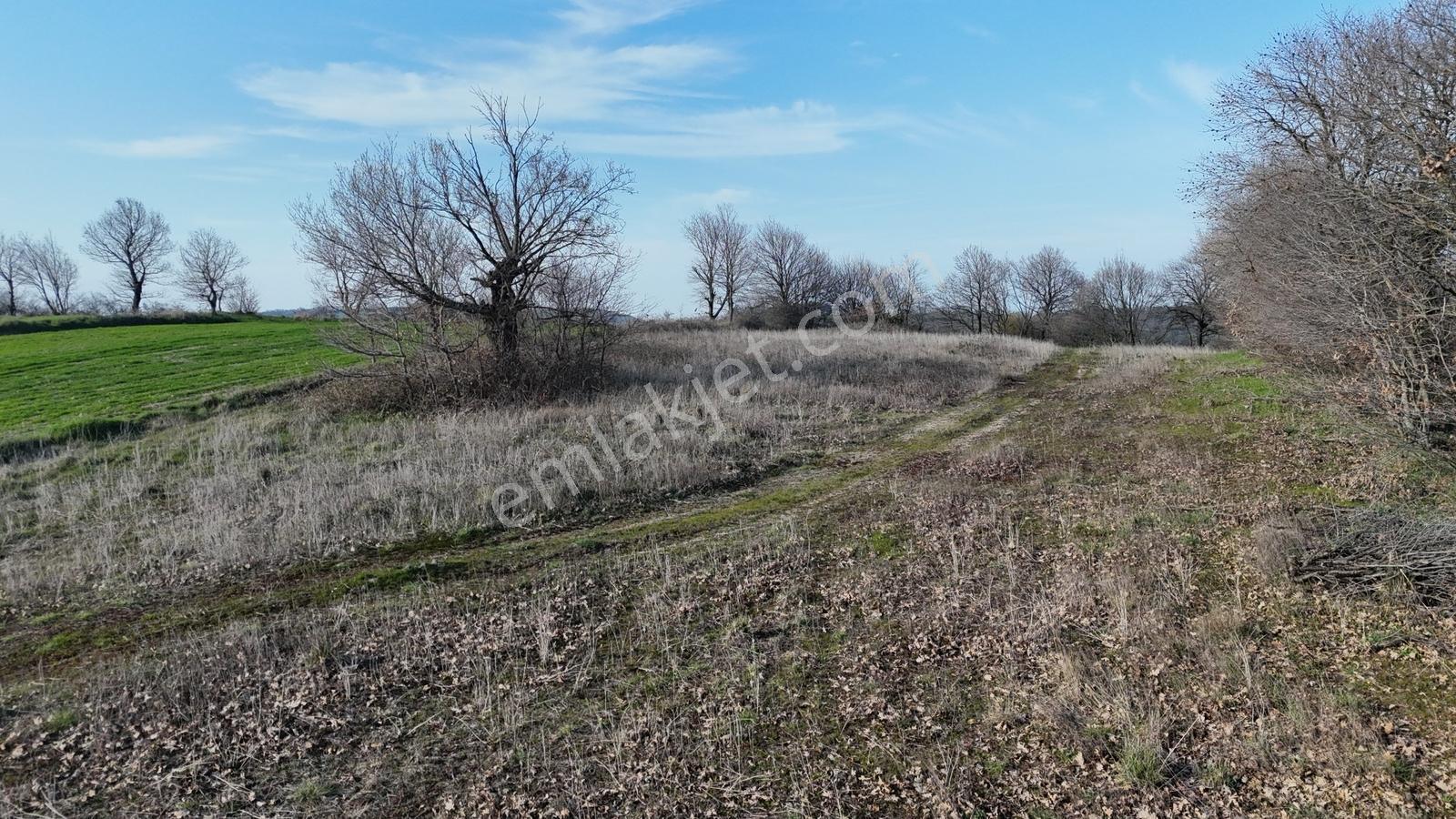 3.450 M² Satılık Tarla Hobi Bahçesi & Yatırımlık Gönene 10 Km — fotoğraf 27
