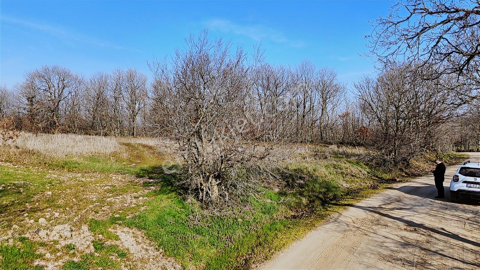 3.450 M² Satılık Tarla Hobi Bahçesi & Yatırımlık Gönene 10 Km — fotoğraf 29
