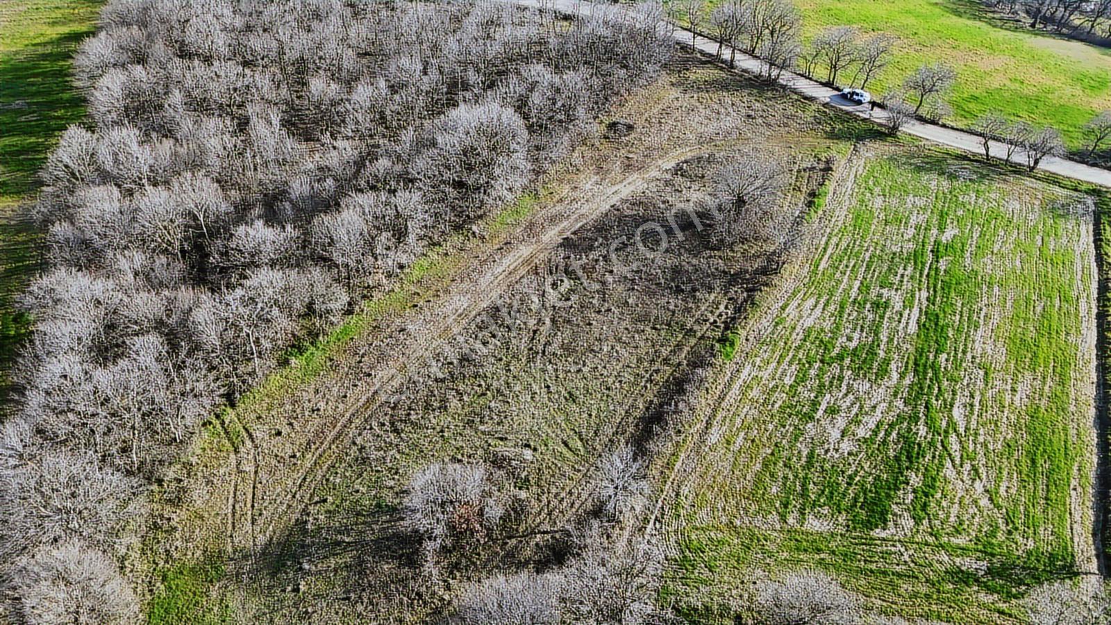 3.450 M² Satılık Tarla Hobi Bahçesi & Yatırımlık Gönene 10 Km — fotoğraf 33