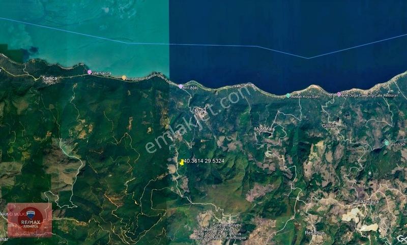 İznik Müşkülede Yola Yakın Tek Mülkiyet Tarla