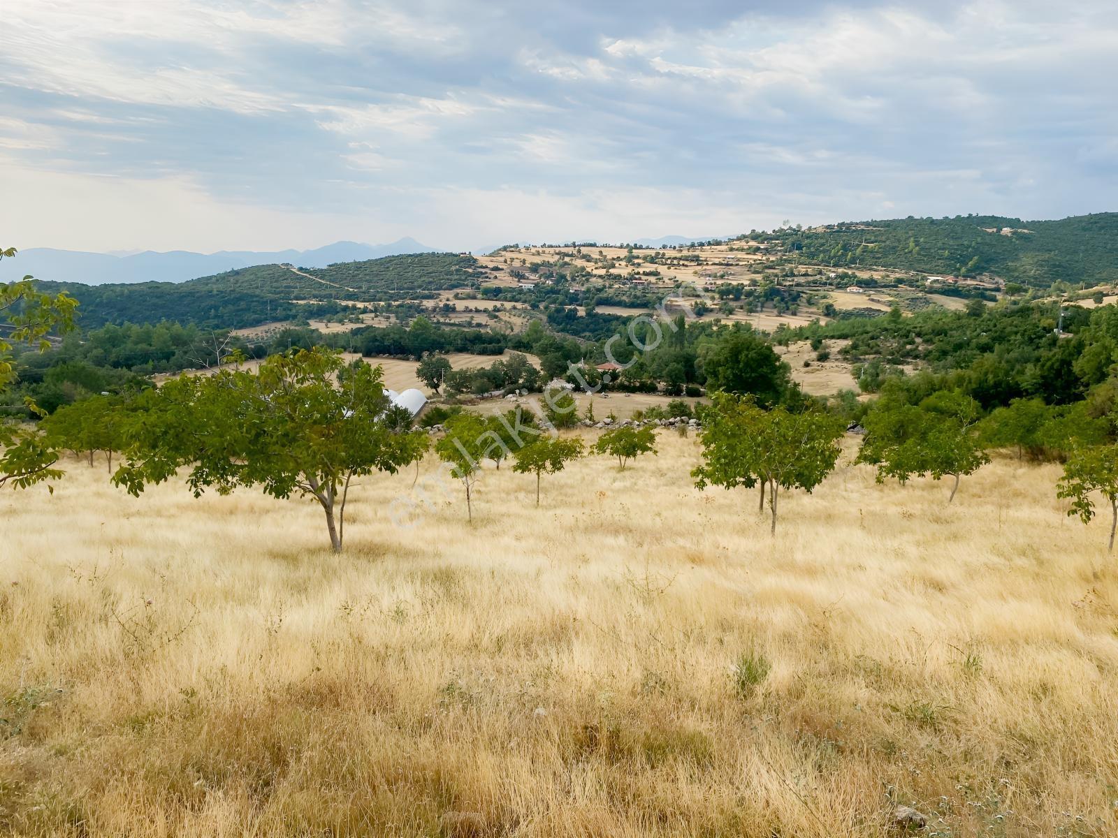 Muğla Seydikemer Çatak'ta Satılık Tarla: 20.000 M² — fotoğraf 3