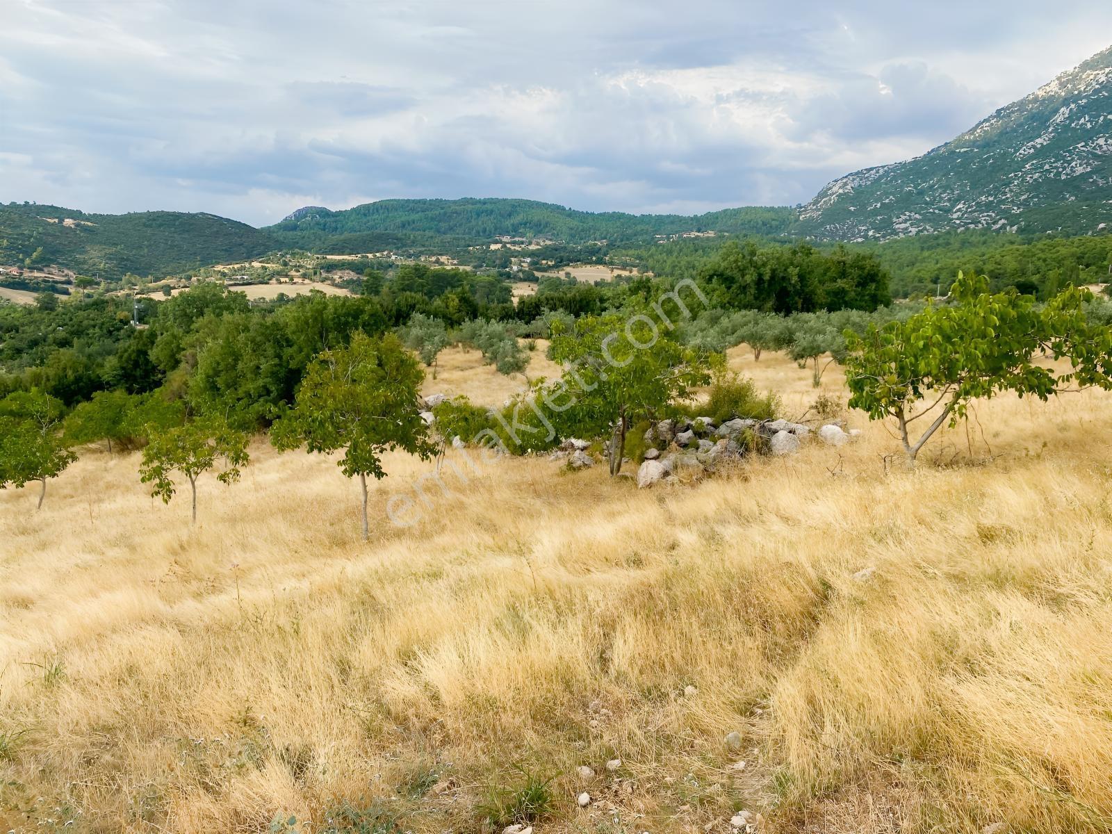 Muğla Seydikemer Çatak'ta Satılık Tarla: 20.000 M² — fotoğraf 4