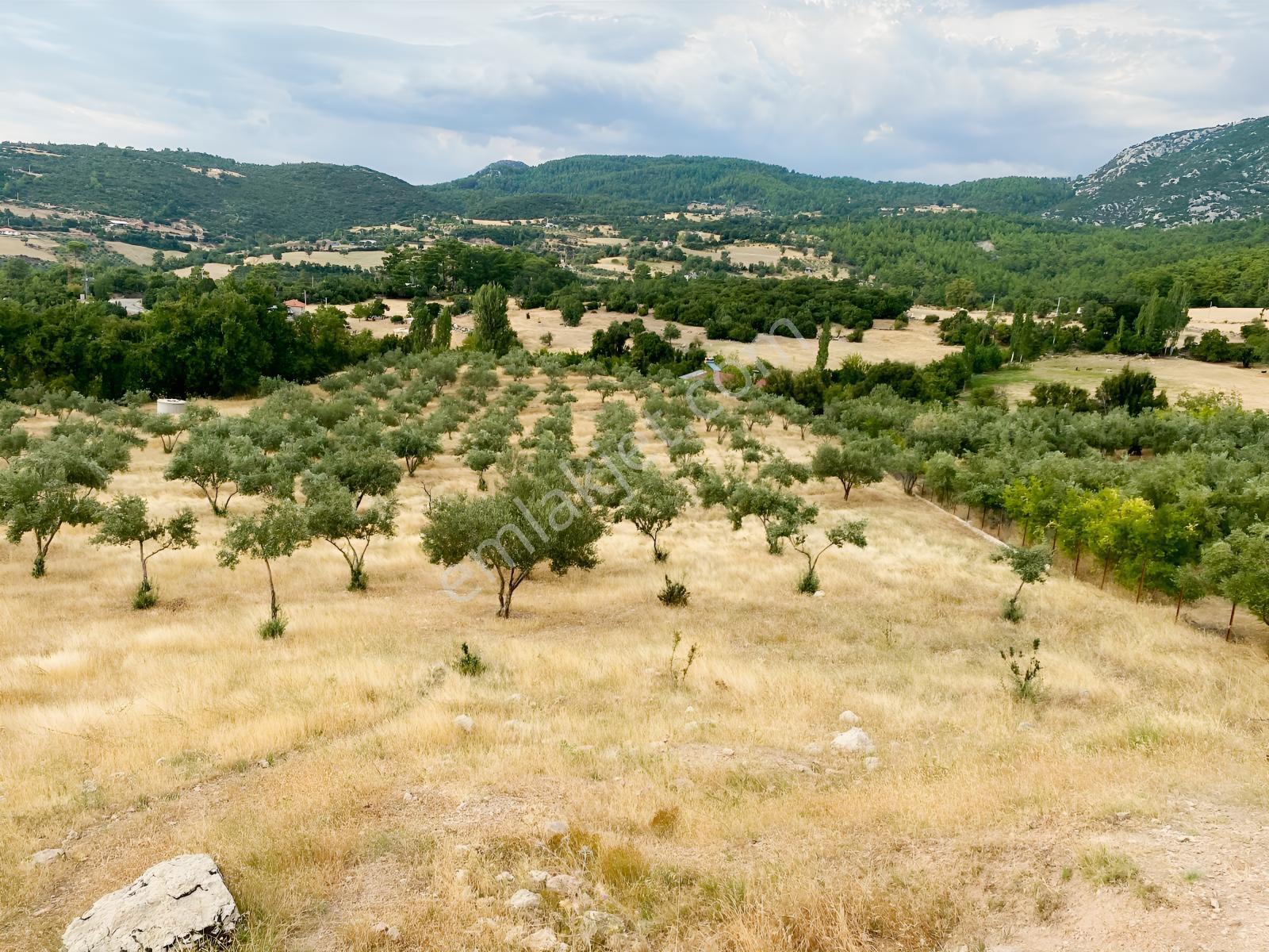 Muğla Seydikemer Çatak'ta Satılık Tarla: 20.000 M² — fotoğraf 5