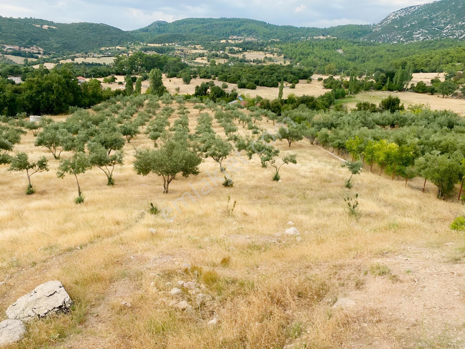 Muğla Seydikemer Çatak'ta Satılık Tarla: 20.000 M² — fotoğraf 6