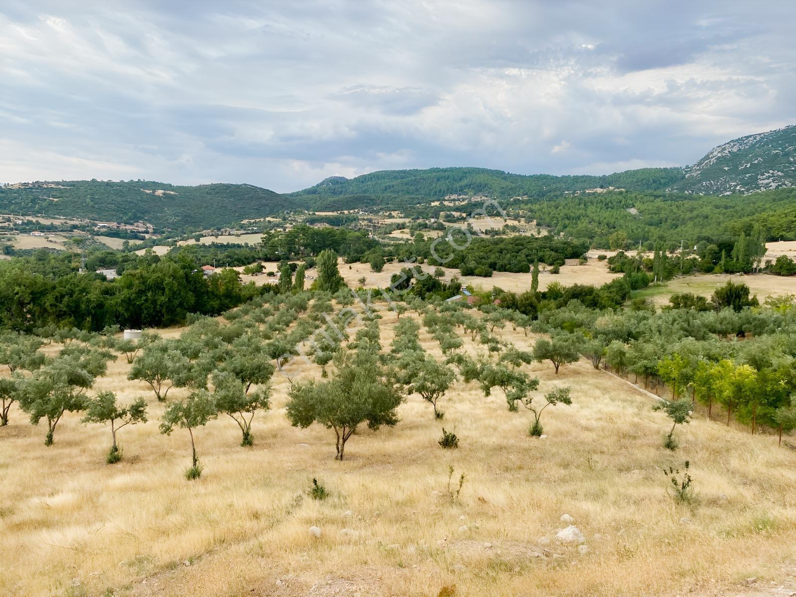 Muğla Seydikemer Çatak'ta Satılık Tarla: 20.000 M² — fotoğraf 7
