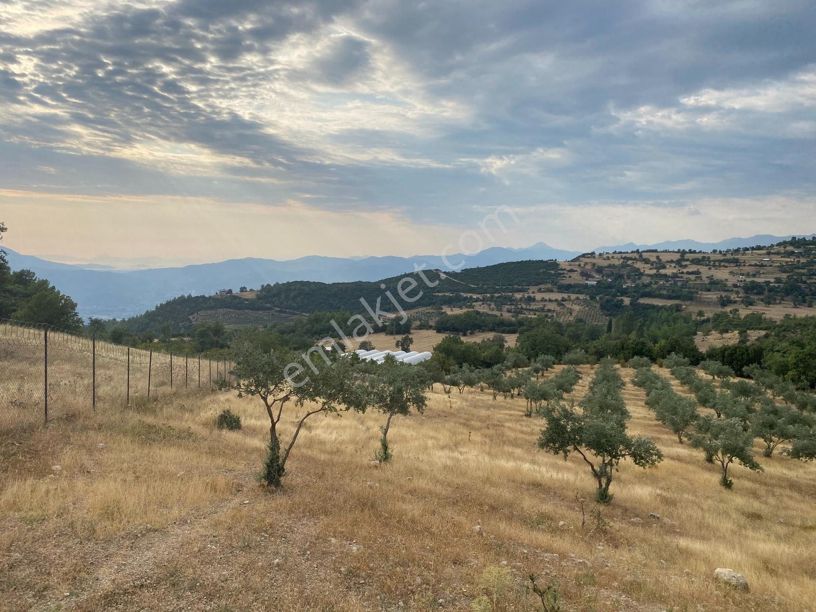 Muğla Seydikemer Çatak'ta Satılık Tarla: 20.000 M² — fotoğraf 9