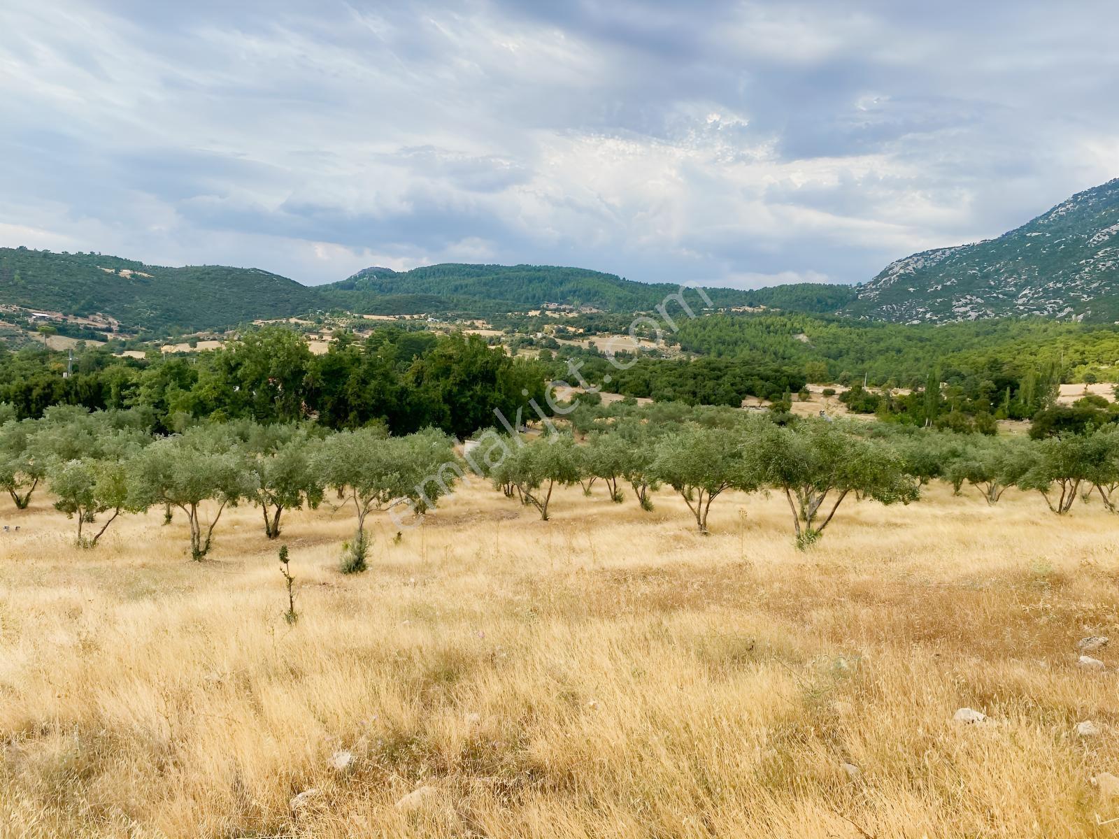 Muğla Seydikemer Çatak'ta Satılık Tarla: 20.000 M² — fotoğraf 10