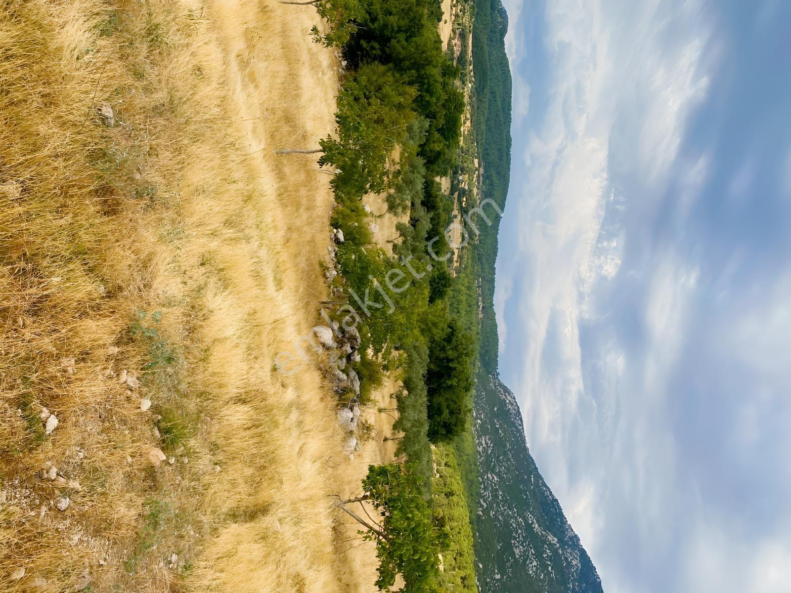 Muğla Seydikemer Çatak'ta Satılık Tarla: 20.000 M² — fotoğraf 12