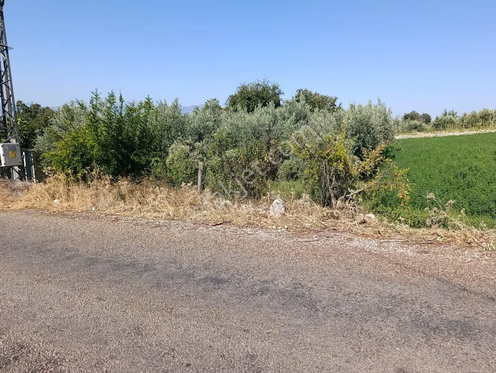 Muğla Seydikemer Çatak'Ta Köyiçi İmarlı Satılık Tarla: 587 M²