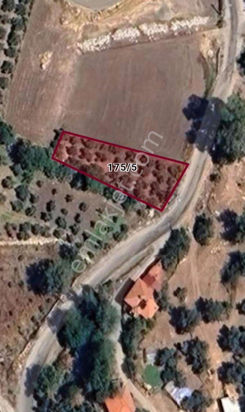 Muğla Seydikemer Çatak'ta Köyiçi İmarlı Satılık Tarla: 587 M² — fotoğraf 2