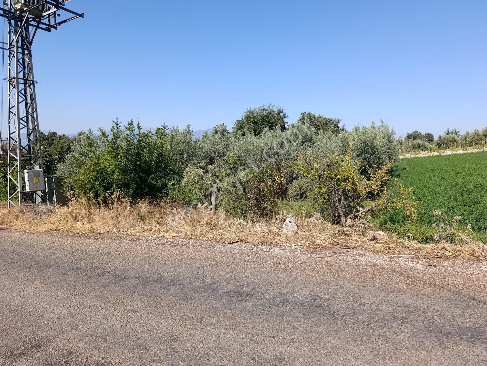 Muğla Seydikemer Çatak'ta Köyiçi İmarlı Satılık Tarla: 587 M² — fotoğraf 4