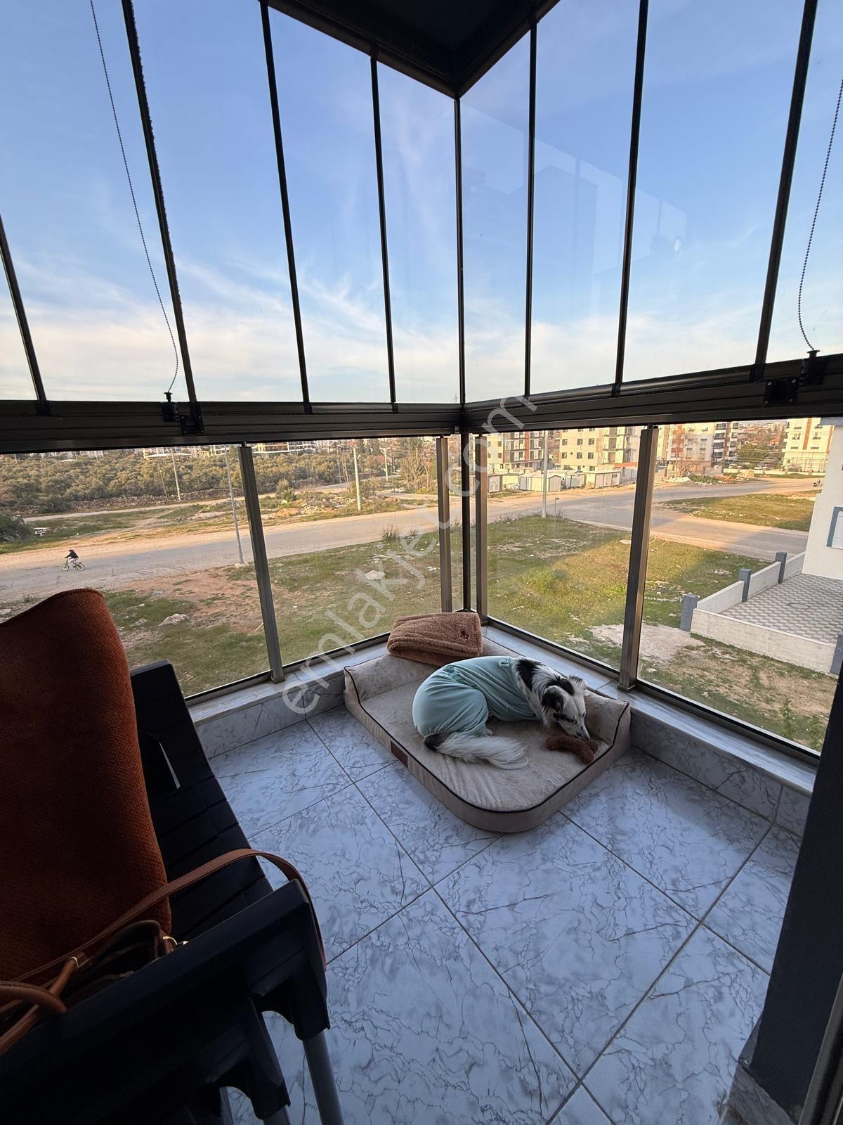Emin Evim Benzeri Satışlara Uygun Yüksek Kredili Ara Kat Şehir Hastahenesine Okullara Yakın — fotoğraf 19