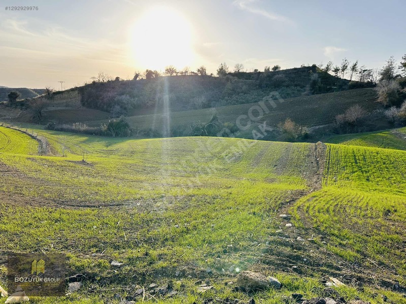 Yola Sıfır 4.320 M2 Köye Yakın Zirve Konumda Havadar Tarla — fotoğraf 31