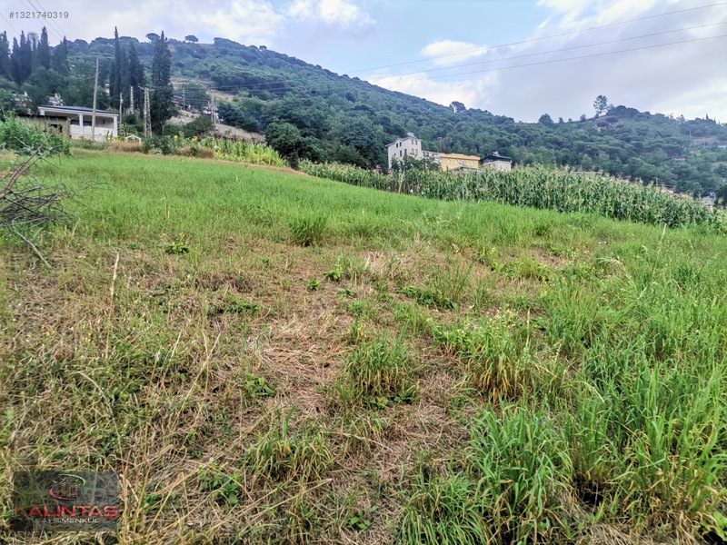Akçaabat Zaferli Mah. Satılık Arazi 736 Metrekare