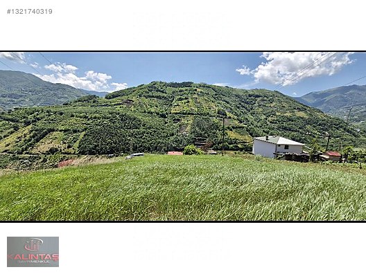 Akçaabat Zaferli Mah. Satılık Arazi 736 Metrekare — fotoğraf 10