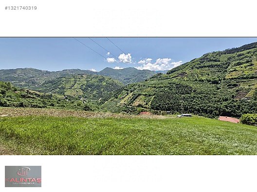 Akçaabat Zaferli Mah. Satılık Arazi 736 Metrekare — fotoğraf 11