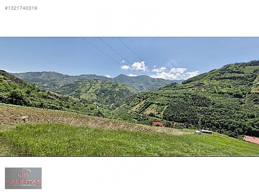 Akçaabat Zaferli Mah. Satılık Arazi 736 Metrekare — fotoğraf 13