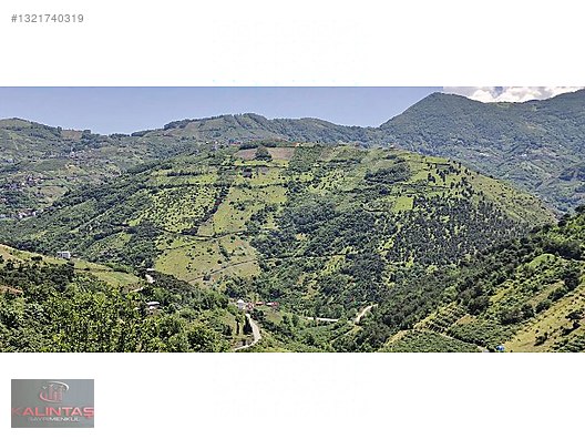 Akçaabat Zaferli Mah. Satılık Arazi 736 Metrekare — fotoğraf 14