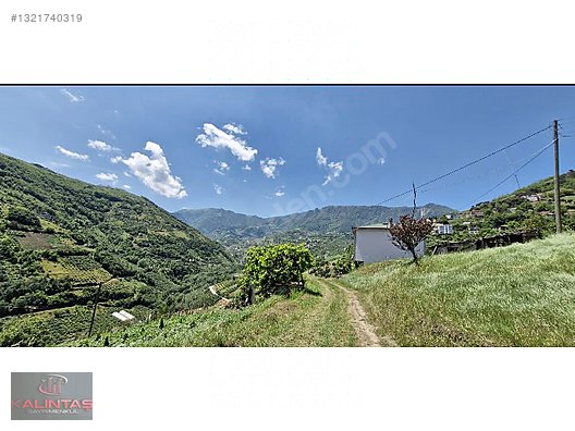 Akçaabat Zaferli Mah. Satılık Arazi 736 Metrekare — fotoğraf 17