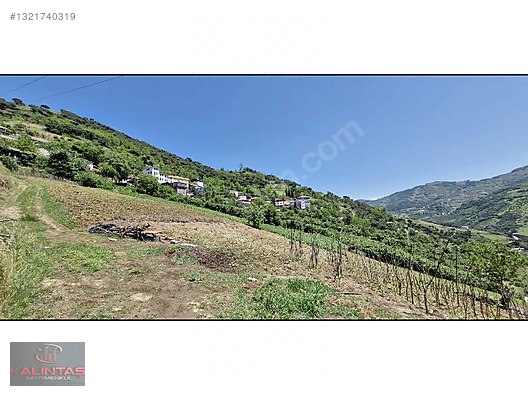 Akçaabat Zaferli Mah. Satılık Arazi 736 Metrekare — fotoğraf 18