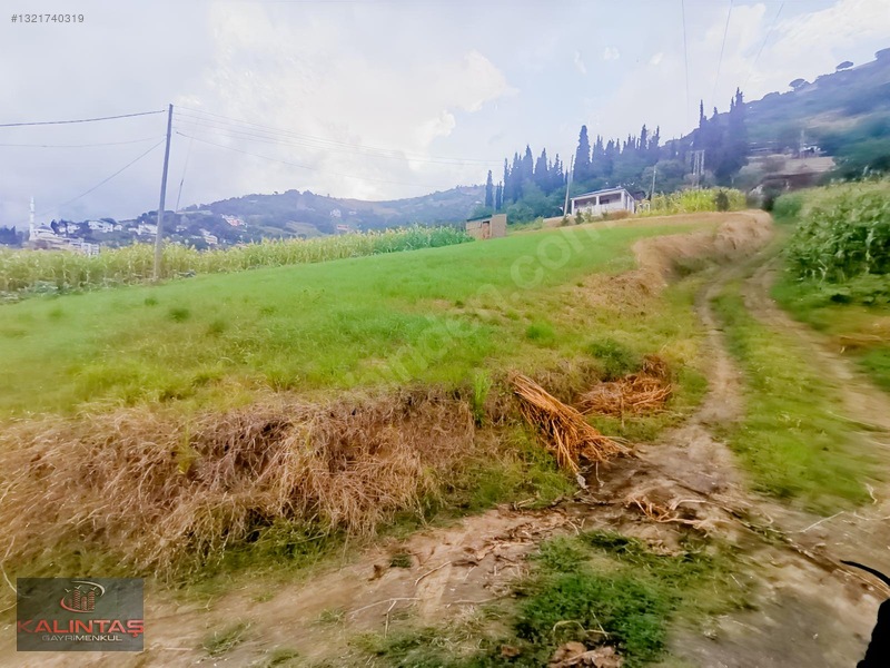 Akçaabat Zaferli Mah. Satılık Arazi 736 Metrekare — fotoğraf 22